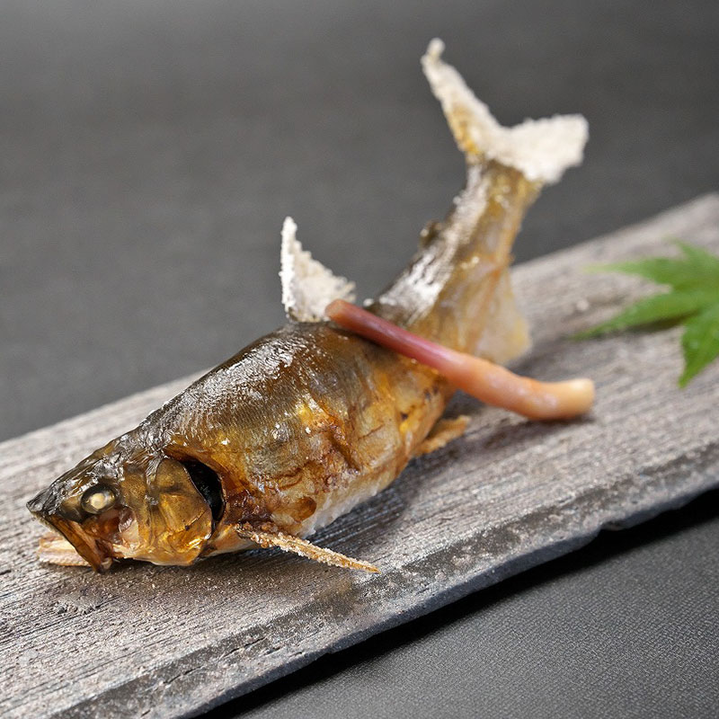 飛騨季節料理 肴
