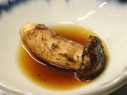 季節堪能コース