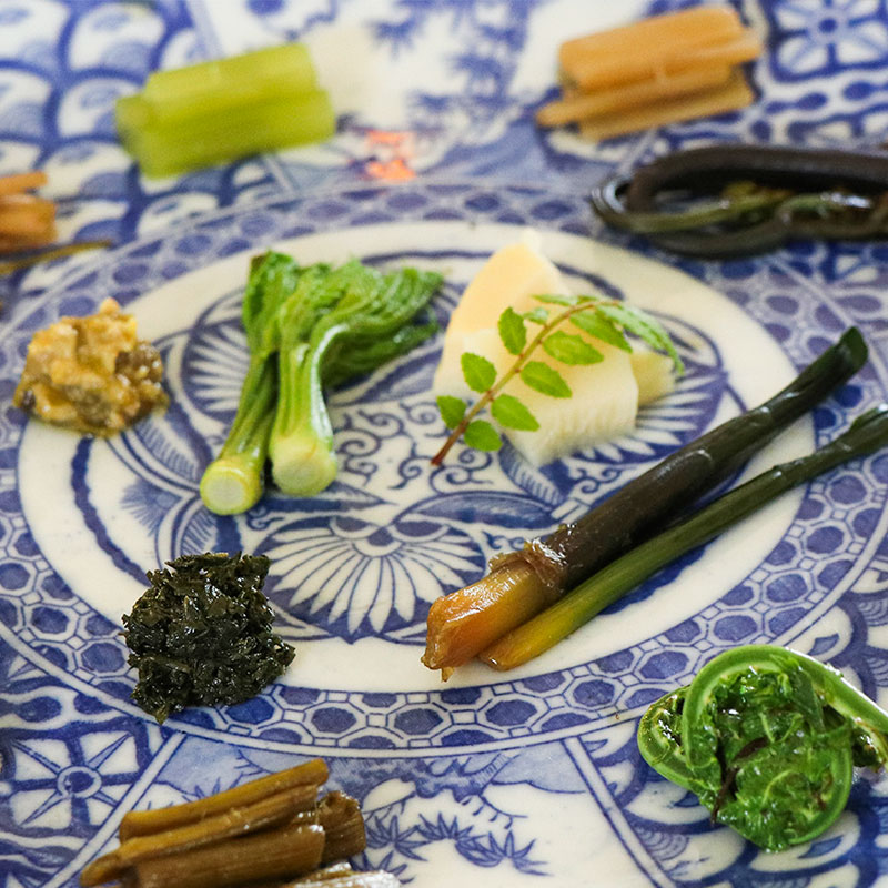 飛騨季節料理 肴