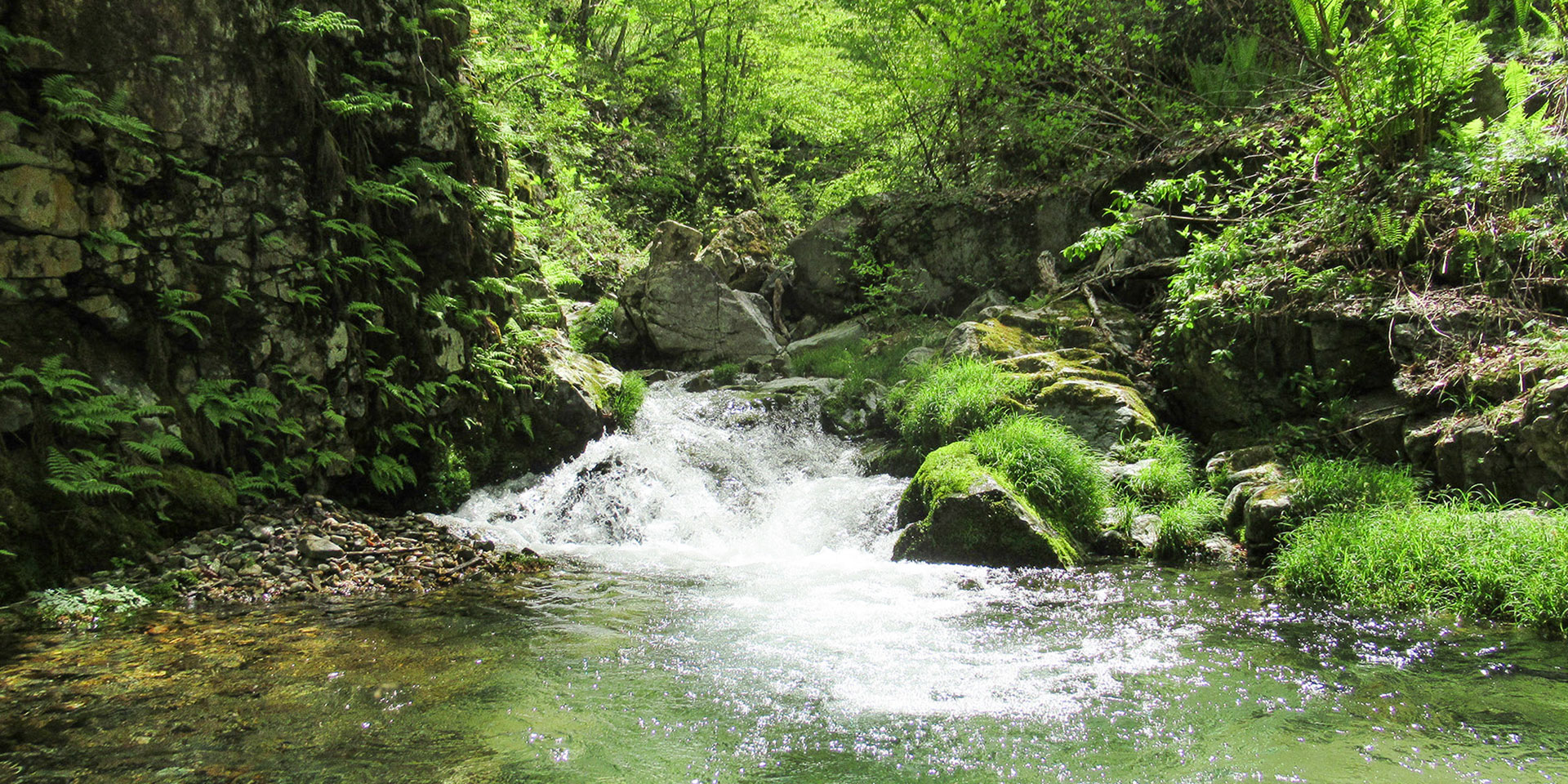 飛騨季節料理 肴