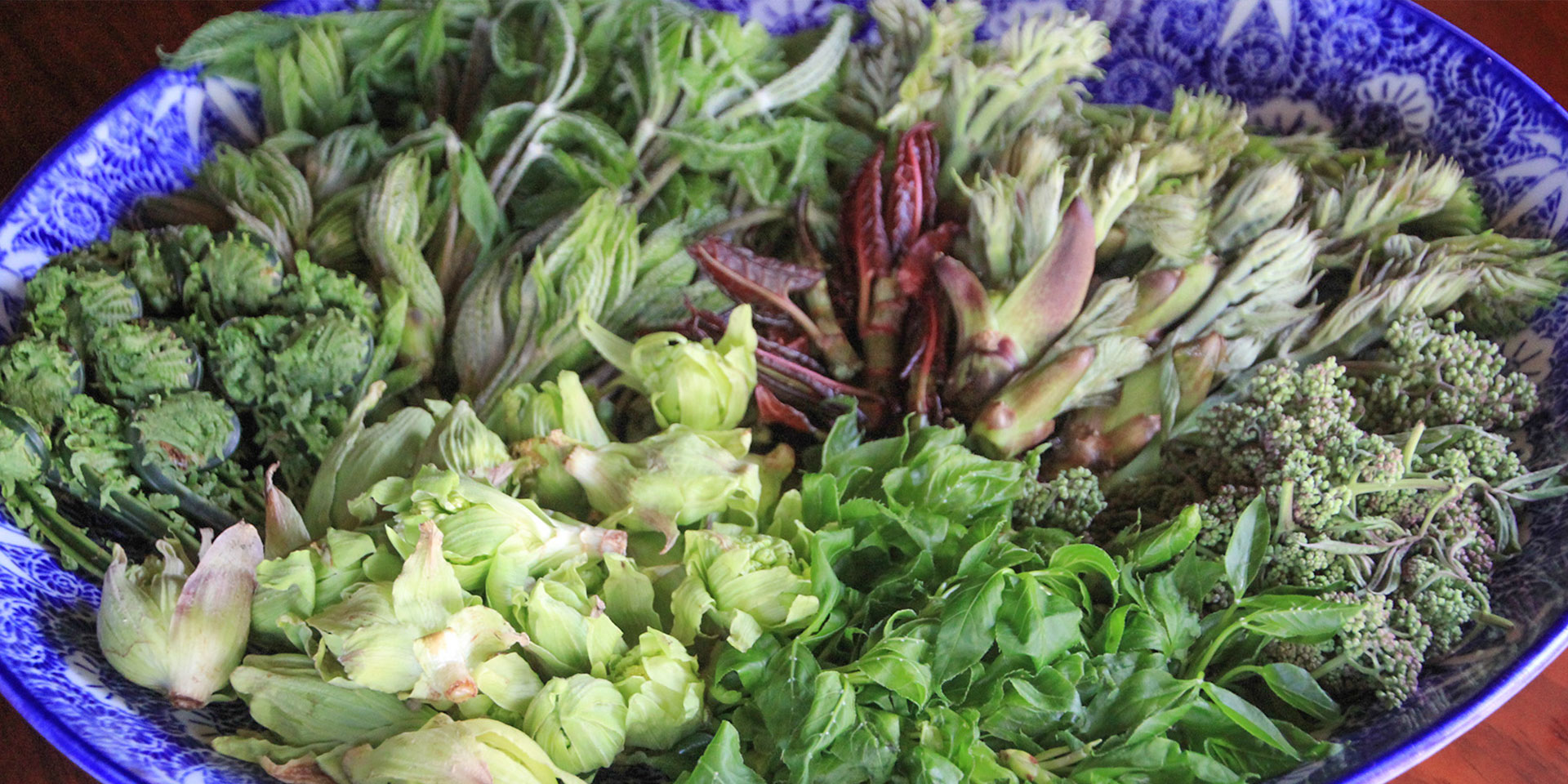 飛騨季節料理 肴