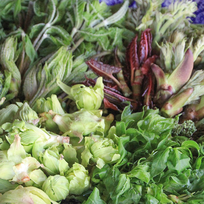 飛騨季節料理 肴